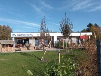 Goseküken (Sulingen)